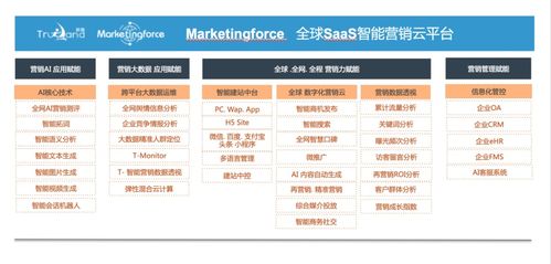 珍島集團躋身工信部中小企業數字化賦能服務推薦目錄，引領企業管理服務新篇章